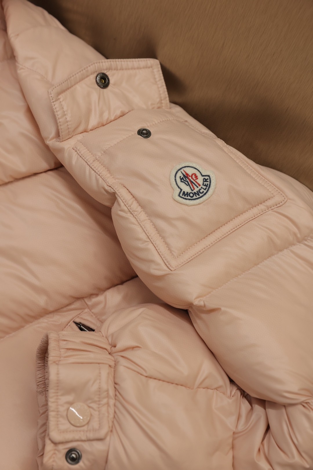 Moncler Down Jackets